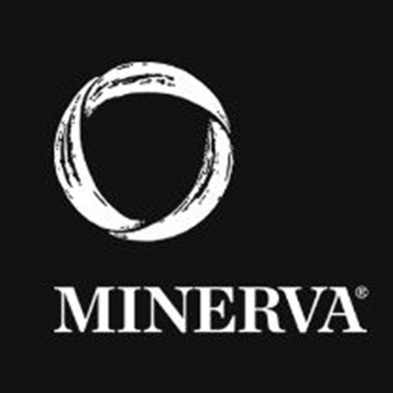 Minerva