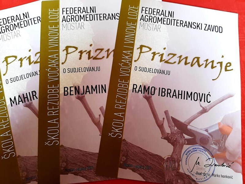 Agromediterranean Faculty - winter school in wine and fruit pruning